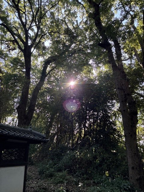 MA71665045's tweet photo. おはようございます(^^)

#イマソラ
#日吉神社 https://t.co/5equ8Q7Mbv