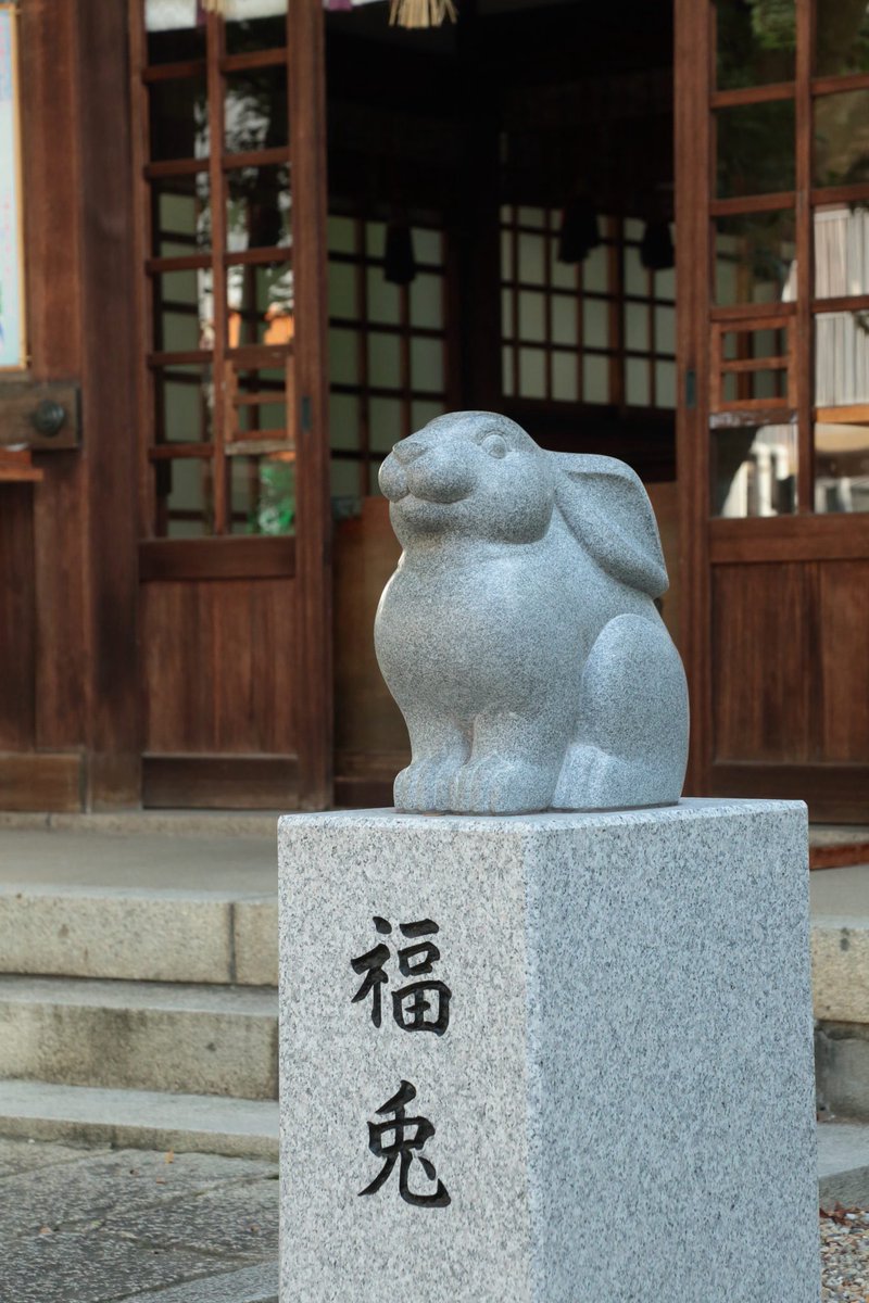 miwajinnjya's tweet photo. 【本日、令和8年8月8日の大黒祭】

おはようございます。
本日は毎月8日恒例の大黒祭です。

8月8日は境内の「幸せのなでうさぎ」さんがお披露目になった誕生日です。
是非ともご参拝いただき、神様のお使いであるうさぎさんにお誕生日のお祝いをなさってください🐇 https://t.co/Ck6VcV5YzH