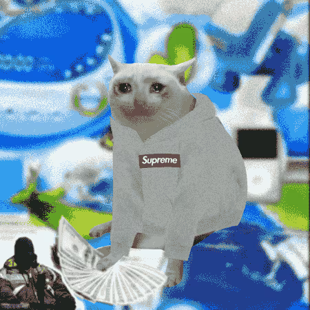 cashcatss's tweet photo. the cat which brings the cash https://t.co/VUweCtlMF2