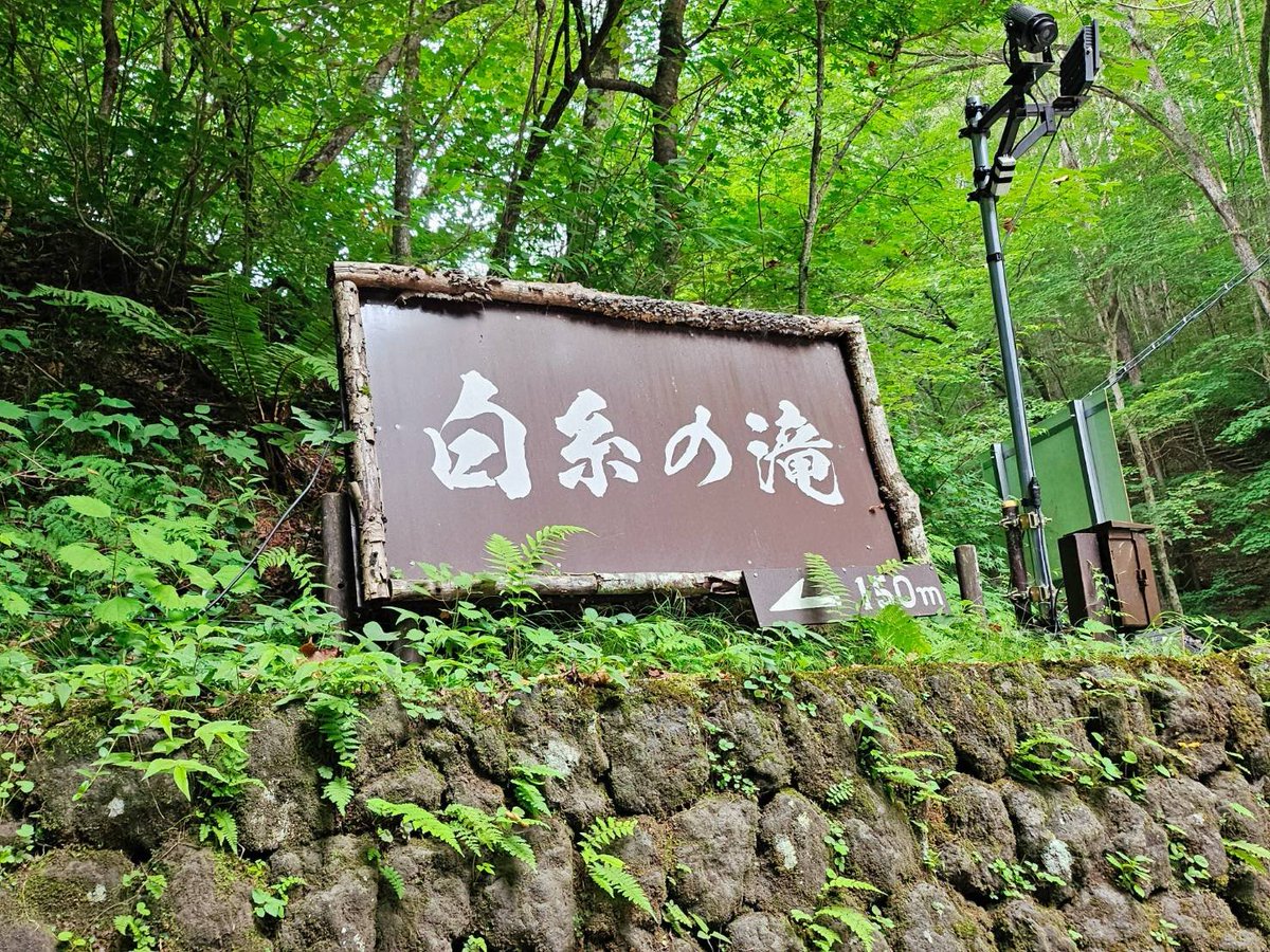 aya9oe's tweet photo. #白糸の滝 は何年振りかな？ってくらい久しぶりだった✨ #滝 は勿論最高だったけど、付近の雰囲気も大好き❤ #熊 とか出るのかな？って思ったらガッツリ看板が出てたからビックリしたけど、あれだけ自然に溢れた場所なら色々な動物が出ても不思議じゃなかった🌳真夏だけど白糸の滝の辺りは涼しかった🎶 https://t.co/BeO6avB1p8