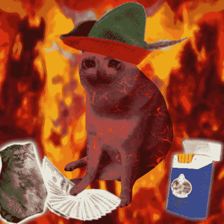 cashcatss's tweet photo. the cat which brings the cash https://t.co/VUweCtlMF2