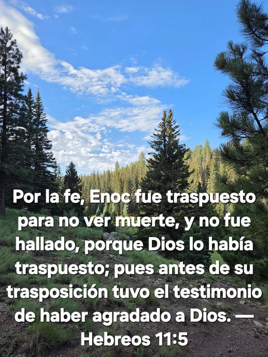 FlgMissionTab's tweet photo. Por la fe, Enoc fue traspuesto para no ver muerte, y no fue hallado, porque Dios lo había traspuesto; pues antes de su trasposición tuvo el testimonio de haber agradado a Dios. — Hebreos 11:5

#SeñorJesuCristo #ElMensaje #AgradableaDios https://t.co/IOTdGhXLKP