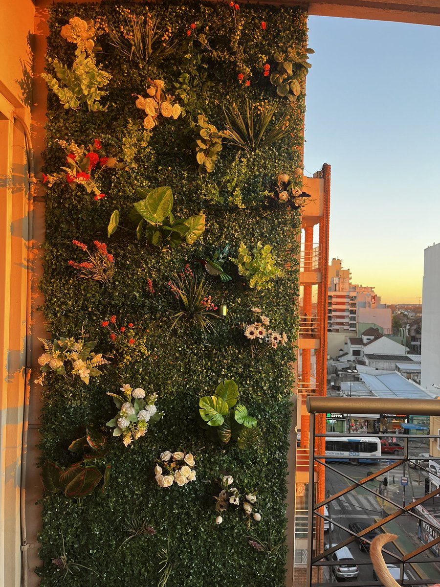 lulipolidoro's tweet photo. Le pedí a mi papá que me haga un jardín vertical en el balcón.  Hoy vino e hizo todo.
Al fin tengo verde 🌿🌱🌺🌸🌼
Tengo papá https://t.co/NzJcoSxbDH