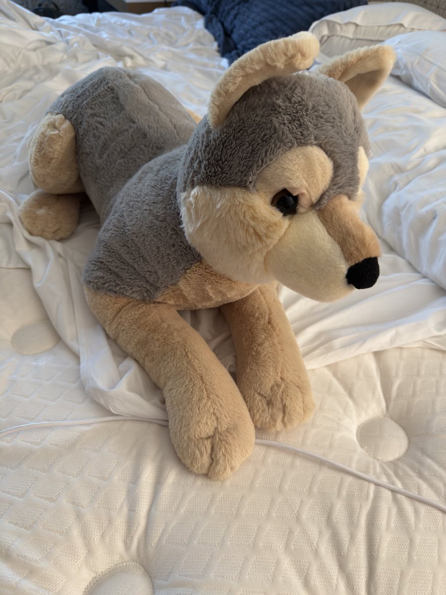 plastickfox's tweet photo. ok story time. I promise you want to read this.

my best friend is on his way back from a trip with his plushie that he uh, uses to keep him company in more than one way

TSA flags it and, in front of everyone: the agent shoves their entire arm up the plushie’s tailhole. https://t.co/hKjMw0S42u