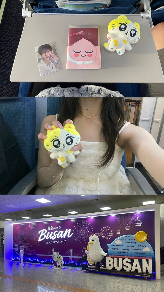 _jwluv29's tweet photo. 釜山到着🇰🇷⸝⸝ ꙳ https://t.co/OawYhKs1w5