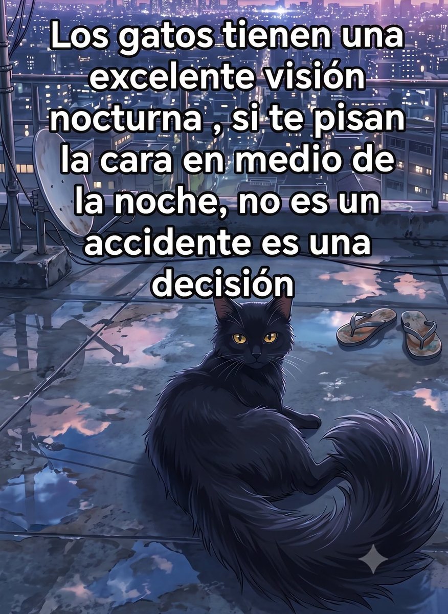 AdopFelinasVLC's tweet photo. #FelizMartes gatero !!!
https://t.co/0b3p1oaM1T https://t.co/f3kF9XwKrp