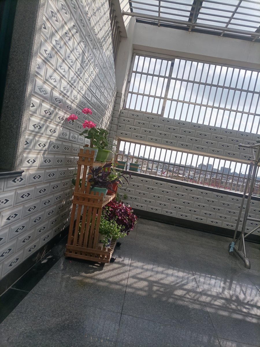 Adipong3's tweet photo. Stopped by Ms. Li’s place with homemade cookies yesterday! Now we’re swapping our favorite plant tips over her fence—small joys make the best neighborhood vibes. https://t.co/ElBi58MtI1