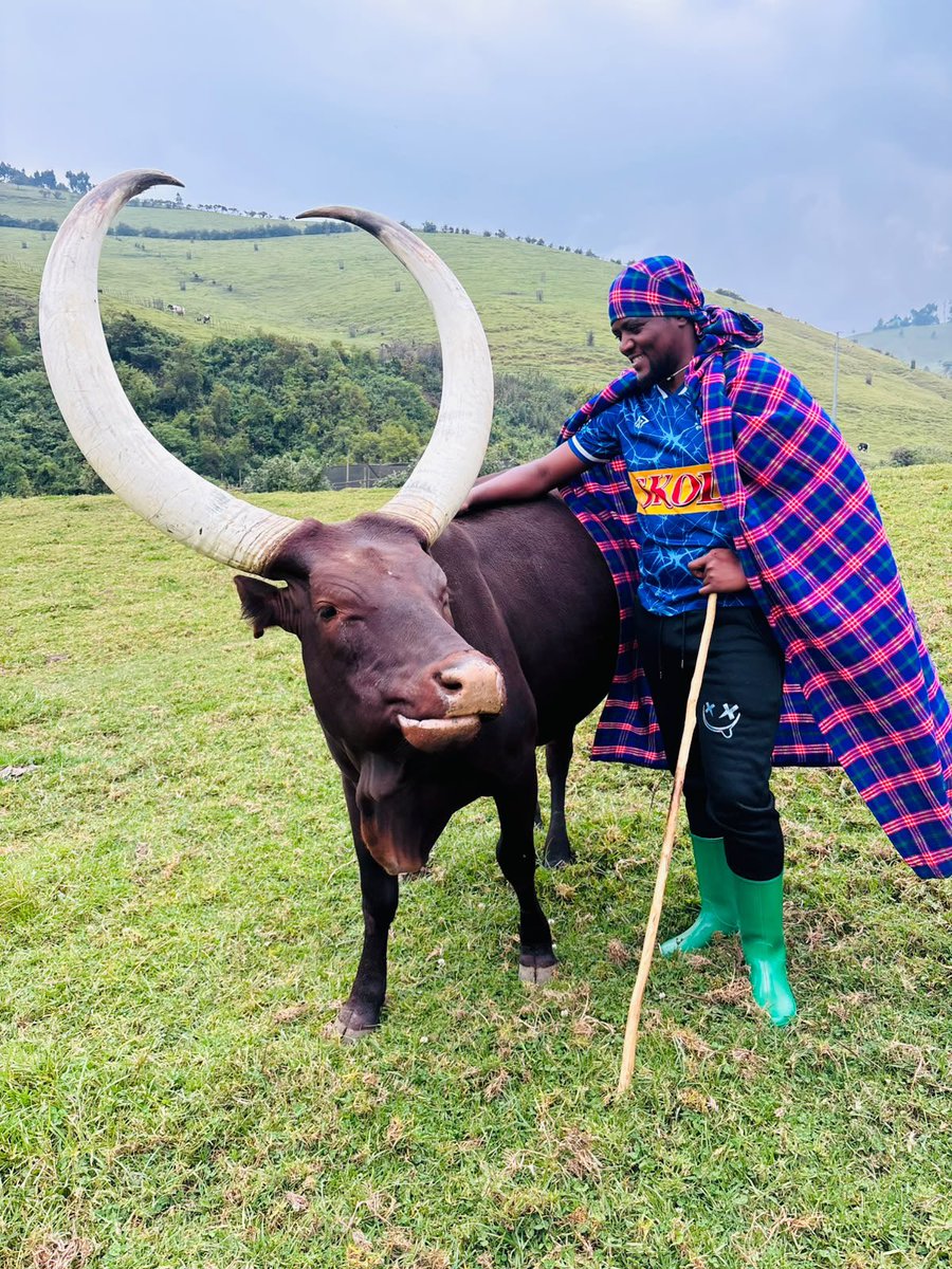Ngabo_Karegeya's tweet photo. Impamvu Rayon itsinzi nuko mwaje nkabakira inyambo ntimunywe ibyuma😂😂😂

Fair play Kbx, Congratulations ku abarayon🤍💙💙 https://t.co/fyU2D0D9jn