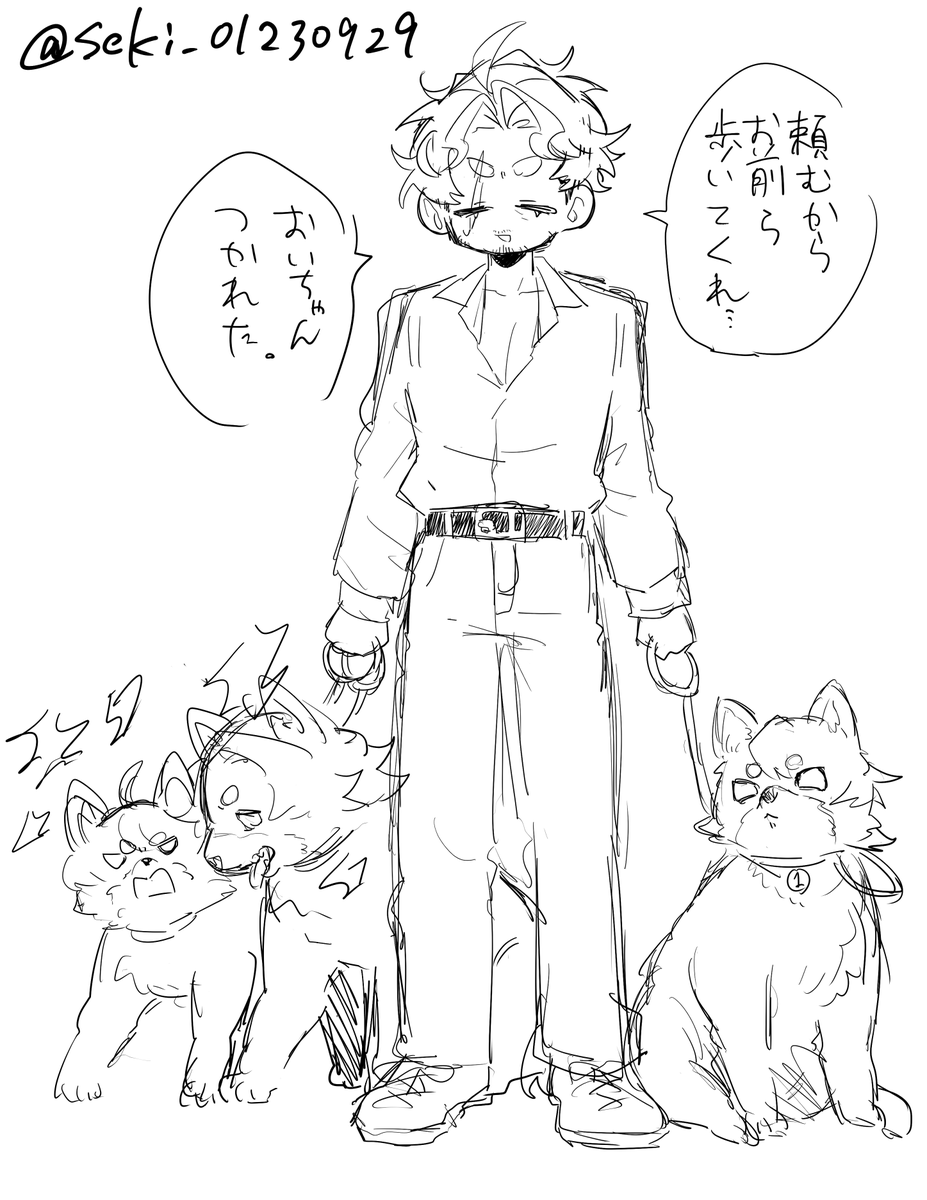 Seki_01230929's tweet photo. 🐶三兄弟と0⃣ https://t.co/qfQnczc2GW
