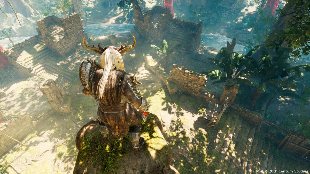 PHGTheGame's tweet photo. Nowhere is safe in this jungle. https://t.co/4azhYBG7He