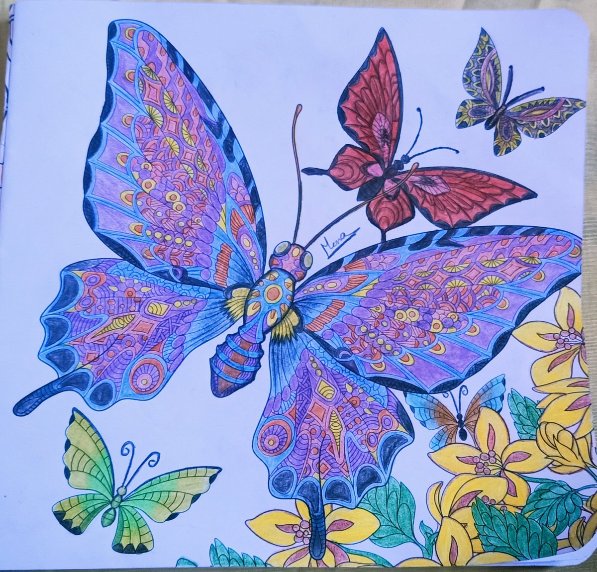 Manona188's tweet photo. My new masterpiece 🦋💙 https://t.co/h0qkOiCBlV