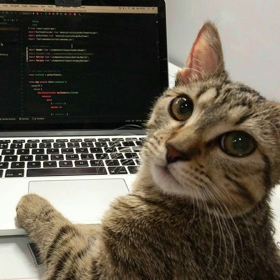 Si0_ou's tweet photo. me: I'll just tweak the hero section real quick
also me, 4 hours later, redesigning the entire site at 3am
💀 who else https://t.co/4dupF5aqDF