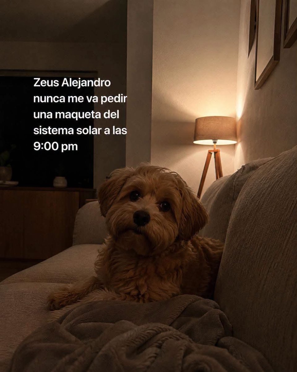 plusmascotas's tweet photo. https://t.co/5AdFsHVwpX