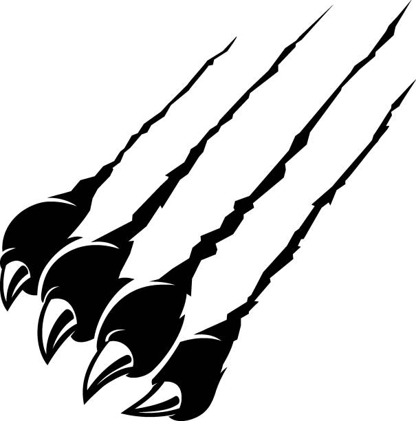 estebayDparsoRu's tweet photo. 新緑の匂い🌿🐱 https://t.co/ksAzZl4wsx