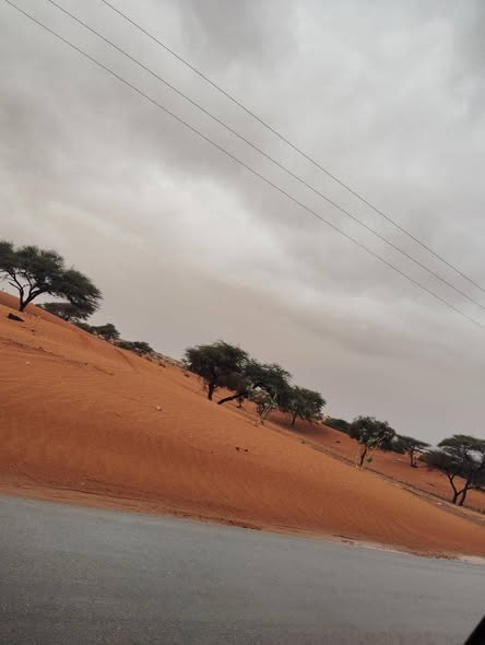 ThePowerBrief's tweet photo. ضواحي بوتلميت 🌧️❤️ https://t.co/npZlNY8Io0