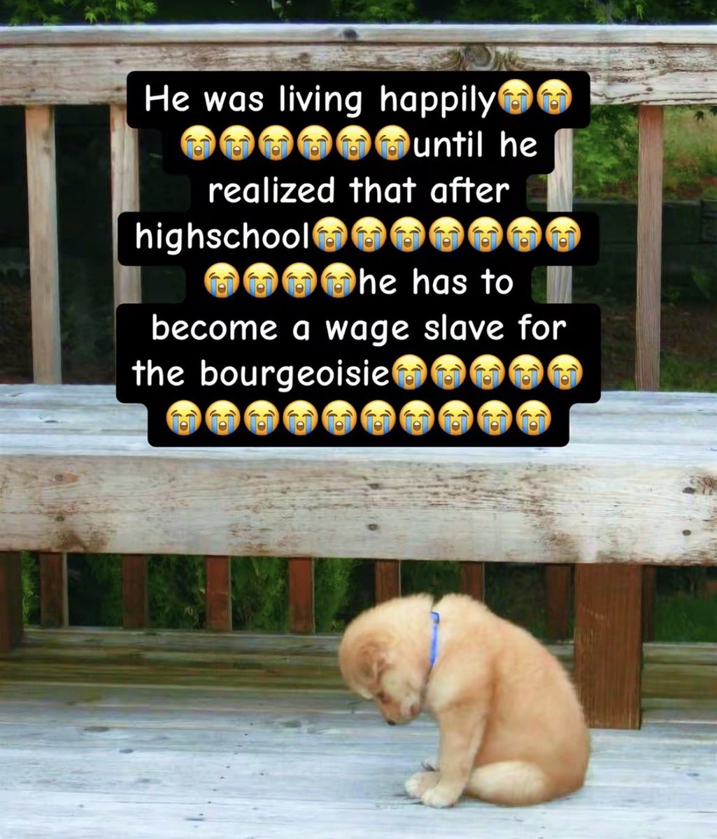 handsnuffbox's tweet photo. https://t.co/aiG10FjtTe