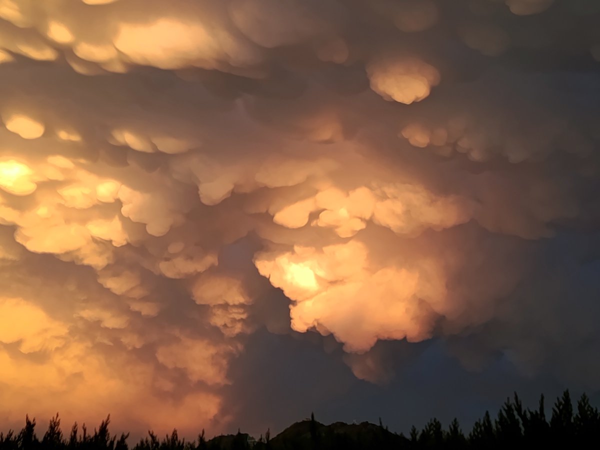 redrumcat123's tweet photo. Mamatocumuls espectaculars després de la tempesta. Llanars, Ripollès. @Mes_324 @meteocat @MeteoElpito @TomasMolinaB @enricagud https://t.co/0ATLRDFg2f