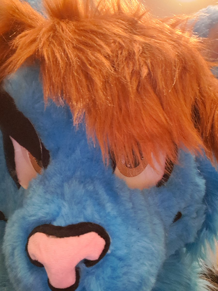 Mixer_The_Furry's tweet photo. @richard_yeen Only if you let me be weird too https://t.co/1hMoTKwkjH