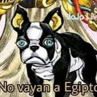 panchiss05's tweet photo. @wante_dtv DIO DE MRD GOAT DE MRD https://t.co/PMjpZ6esp0