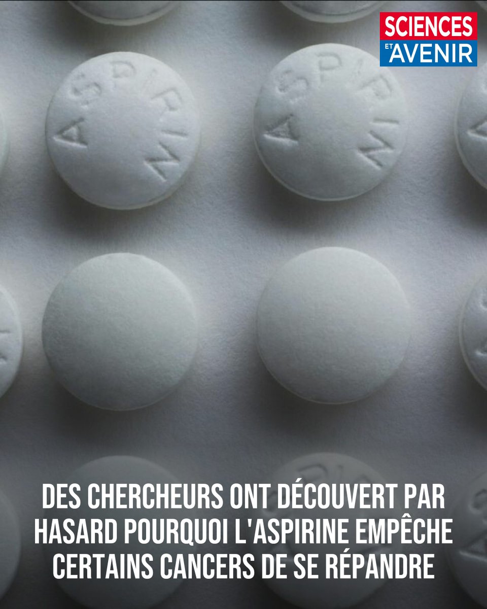 Sciences_Avenir's tweet photo. A faible dose, la prise d'aspirine diminue le risque que le cancer se répande en métastases, et le risque d'en mourir. 

Si cet état de fait est connu depuis environ les années 2010, personne ne savait l'expliquer… Jusqu'à cette découverte ! 
👉 https://t.co/TGnlDMcBxi https://t.co/VbHi249UIY