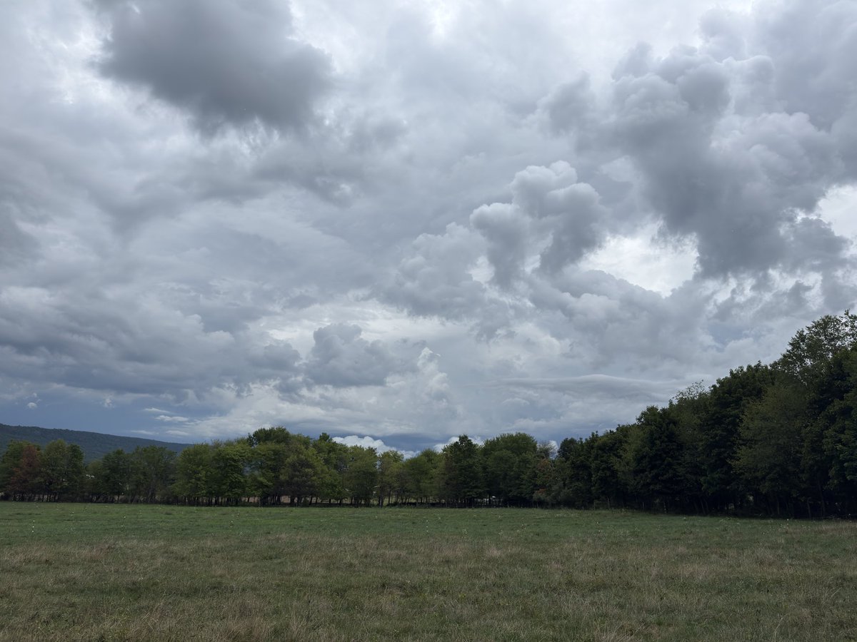 SNPirm's tweet photo. In all of creation, I enjoy the sky the most… Always changing. Here are storm clouds in the valley today https://t.co/zZ1ogHrHeo