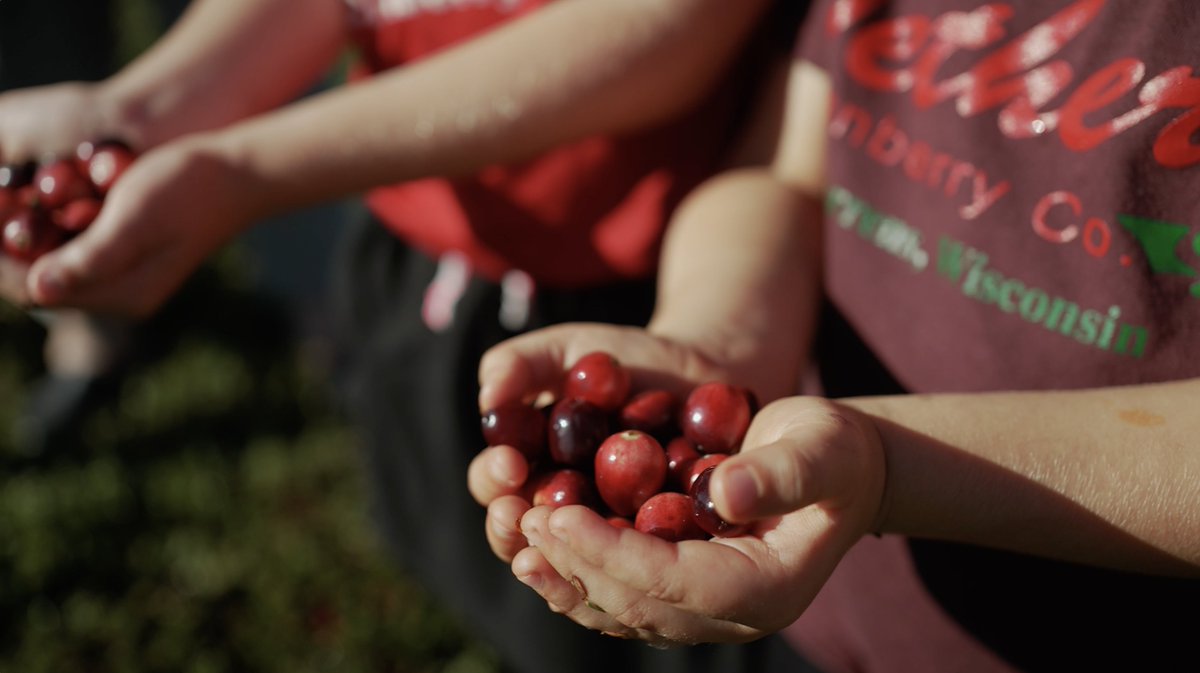 DiscoverWI's tweet photo. SAVE THE DATE: Warrens Cranberry Festival 🍁

Local makers, delicious food, family fun, and of course… cranberries!

Join us in Warrens September 25–27 for one of Wisconsin’s sweetest fall celebrations. https://t.co/uF2zfIm1gn