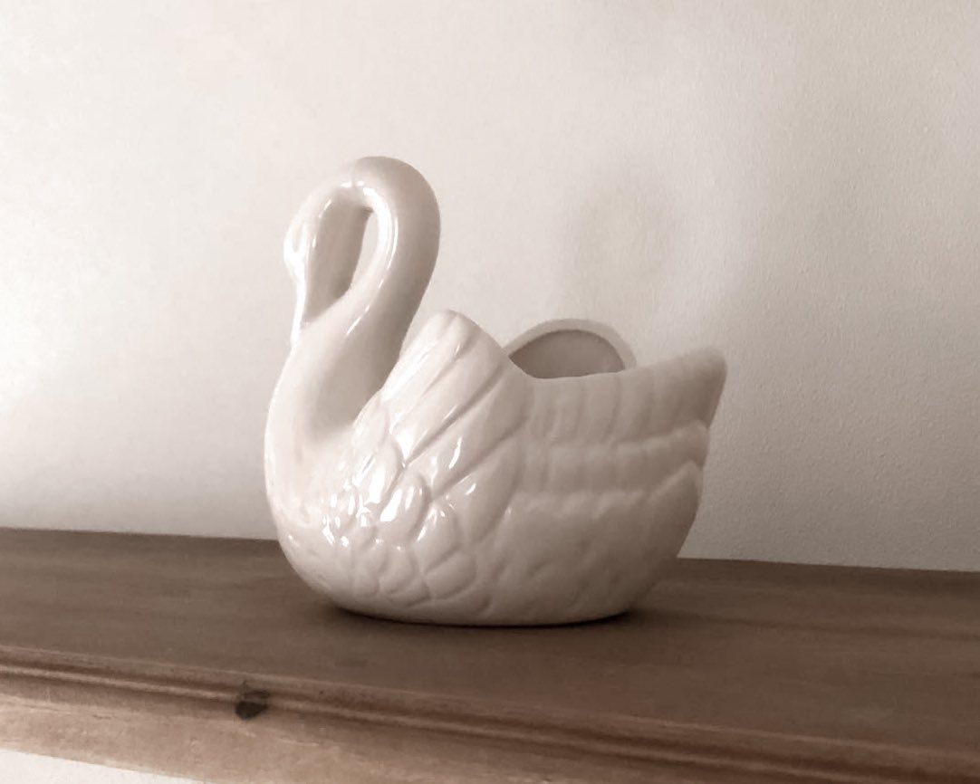 glirttery's tweet photo. forever a swan lover https://t.co/46IsL8hkHb