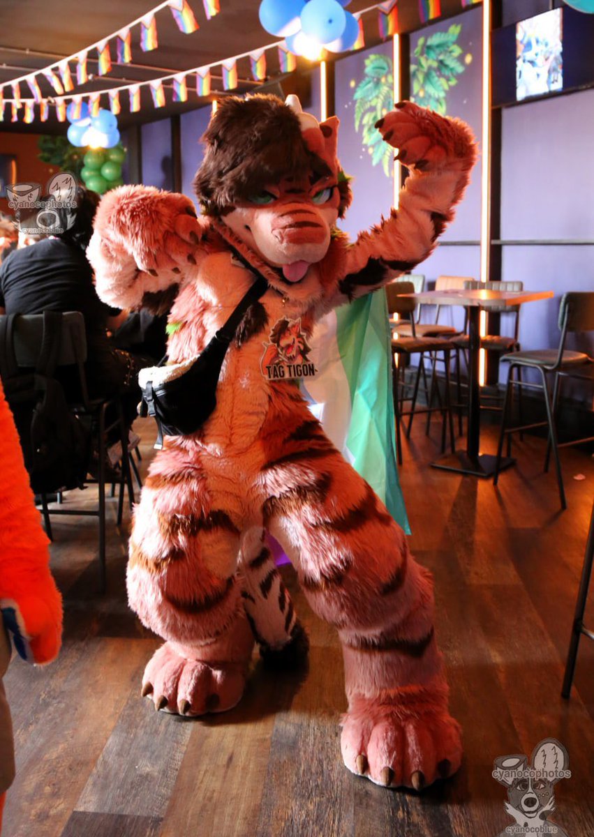 TagTigon's tweet photo. Let’s party this #FursuitFriday

📸 @cyanocophotos https://t.co/g631yA5fjE