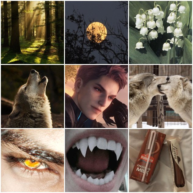 Nikky_hub's tweet photo. Day 7: ✨ 
Forest, lilies of the valley, fierce wolf spirit, and a touch of sweetness. A perfect balance of strength and gentle soul. He is truly irreplaceable! 🖤🐺
#全世界都爱敖尹 #ValkoAesthetic #ValkoMyLove #ValkoIsAGoodBoy #WeWantValko https://t.co/oEtGT94bNd
