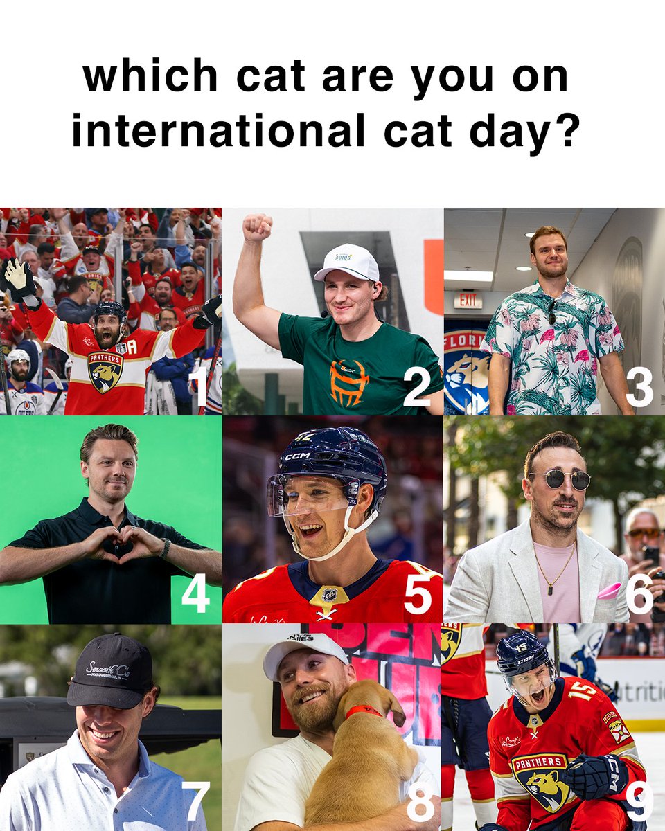 FlaPanthers's tweet photo. Pick your Panther 👇 https://t.co/s4Ze9qOstu