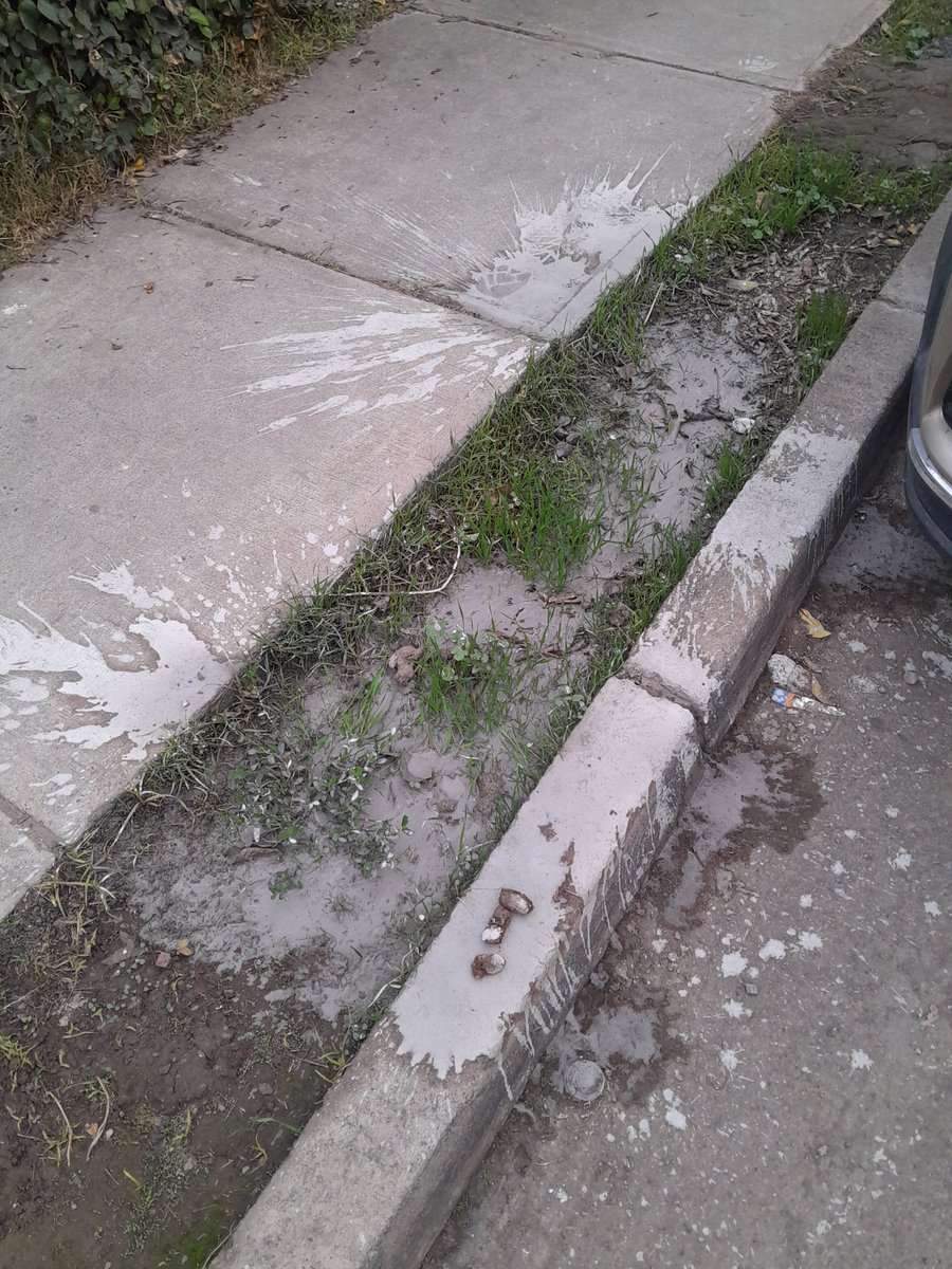 lino_hormachea's tweet photo. Buenas tardes la forma de trabajar de sus contratistas arreglan cañerías tapan y tiran cemento donde caiga son sucios eso no se hace menos afuera de ma casa del vecino que no tiene nada que ver con el arreglo de la casa del lado
@aguas_andinas https://t.co/rxLrWXtYcG