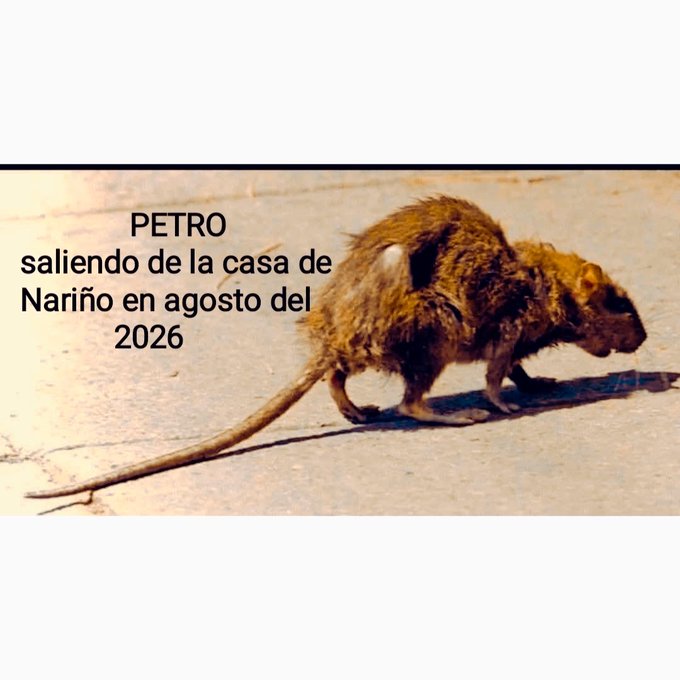 iorix13's tweet photo. @diegoalejocm https://t.co/EOaHdIGofz