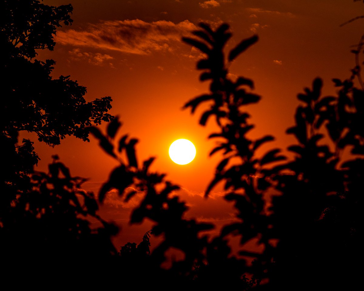 Weekend_Rebel's tweet photo. Framing the sunset... https://t.co/C8G11rEvb0