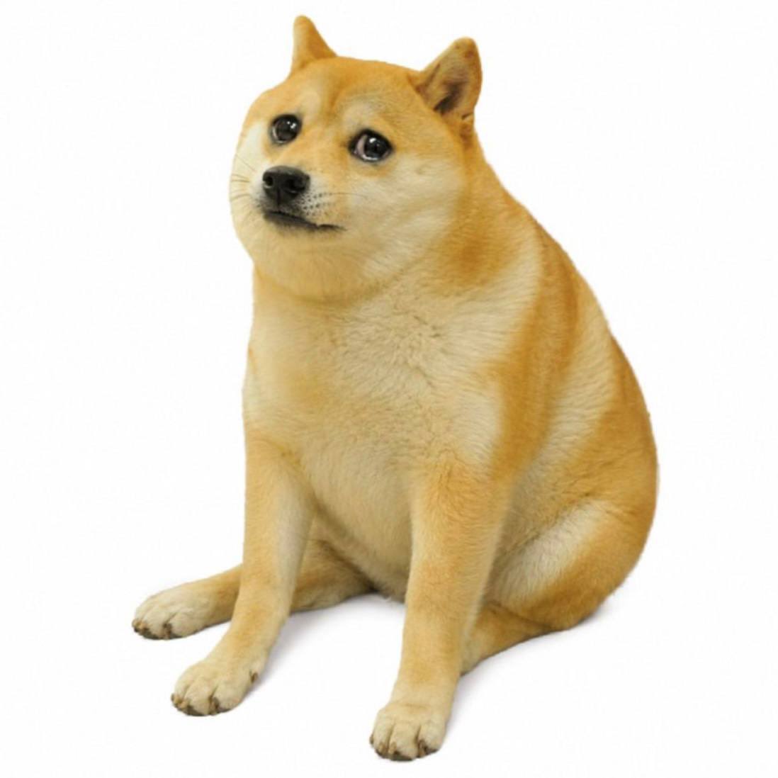 CashDogOnSol's tweet photo. statistic for today was good. we are holding a strong floor. something huge is coming once we get our volume back.
dyor solana:9nXkTPZETP9hrntNYgxQSeDzwbhrExhFqKJPb5Z6pump https://t.co/VvZCGkePKB