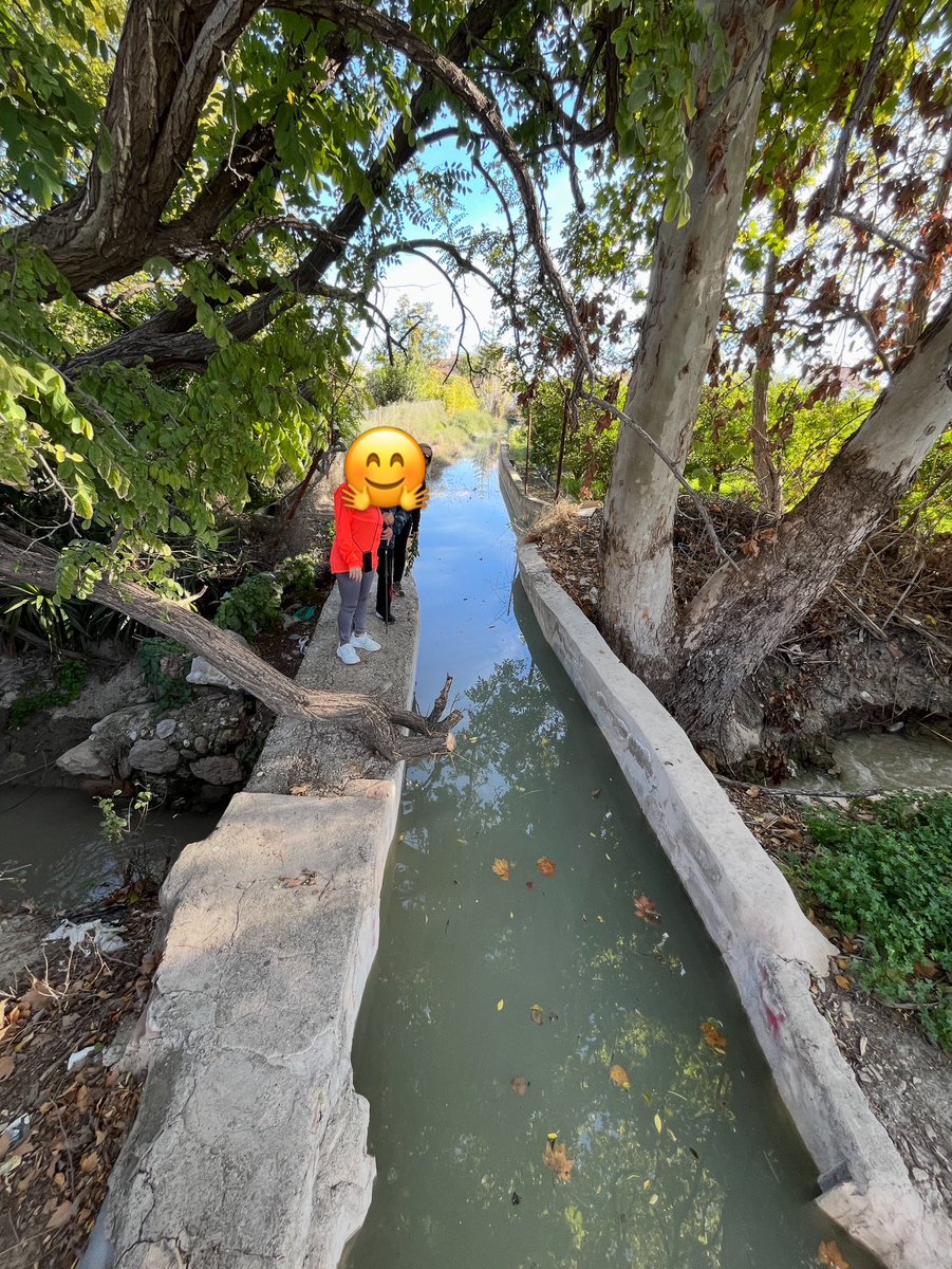 enunlugardelah1's tweet photo. 🍋 Acequia Almohajar cruzando sobre la acequia Albadel.

Cuando las dos llevan agua es todo una experiencia… el murmullo del agua, la abundante vegetación, los pajaricos cantando.

Un espectáculo, créanme. https://t.co/5ZCkhnst16