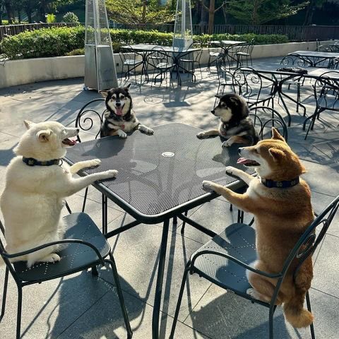 twaniimals's tweet photo. https://t.co/9YuuRNBc2B