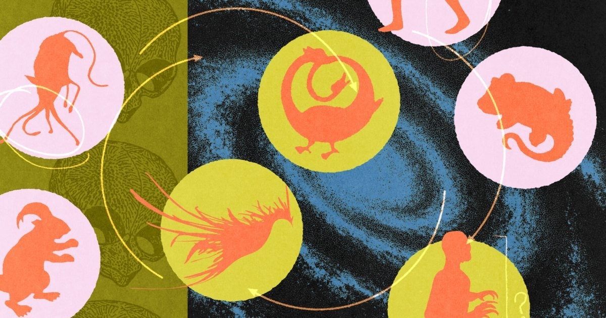 koenfucius's tweet photo. Prevailing conditions in our planet’s past shaped evolutionary pressures and the emergence of new species. What if they’d been different?

Speculative evolution, considering the animals that never were (but could’ve been), is fun but also serious:

https://t.co/xXewsuTMEH https://t.co/Q1W9c1pi1Q