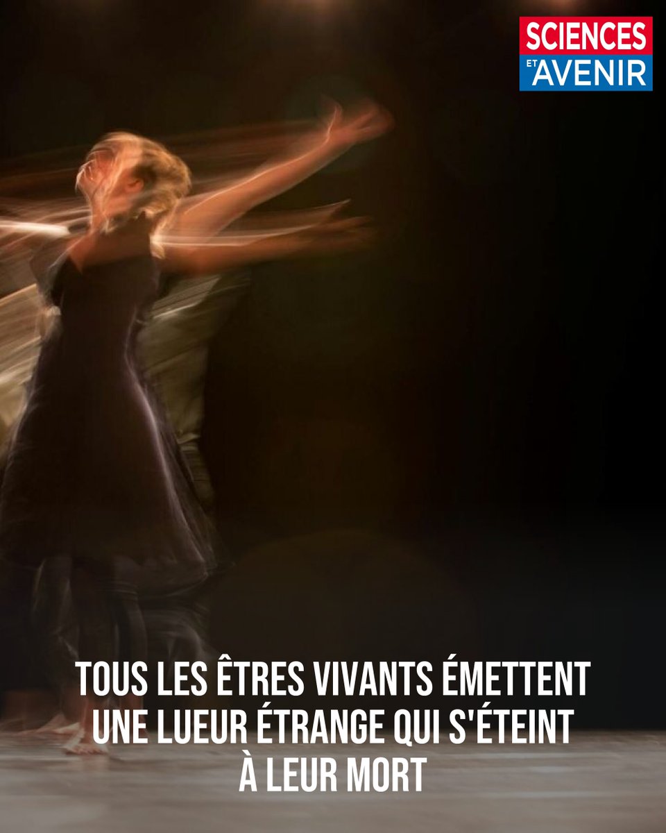 Sciences_Avenir's tweet photo. Des chercheurs montrent que la lueur qui entoure les êtres vivants disparait peu après leur mort. Sans pouvoir en expliquer la cause, ils décrivent le mécanisme biochimique à l'origine de ce phénomène, et ses implications.
👉 https://t.co/qCvt7LKeiH https://t.co/Ft7ilJQzhT