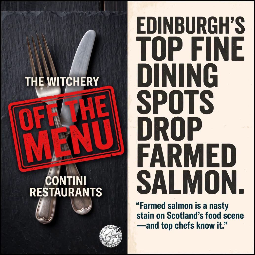 SalmonScotland's tweet photo. Top Edinburgh restaurant The Witchery (among others) have taken farmed salmon #OffTheTable #OffTheMenu due to animal welfare, environmental, pollution and ecocidal issues.
@salmon_free @ScottishEPA https://t.co/kirNGlSkSc