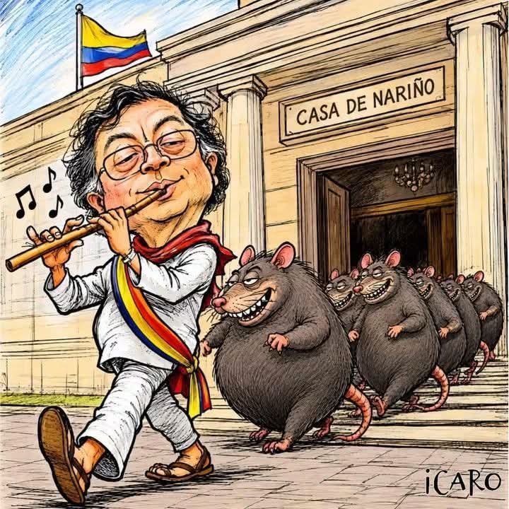 OscarOrtizE2's tweet photo. Chao, chao Guerrillo rata asquerosa 🦜🦜🦜 https://t.co/N7UvyPiemj