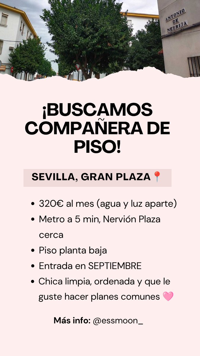 essmoon_'s tweet photo. Se busca compañera de piso en Sevilla curso 2026/27 https://t.co/eNGFrWGemy