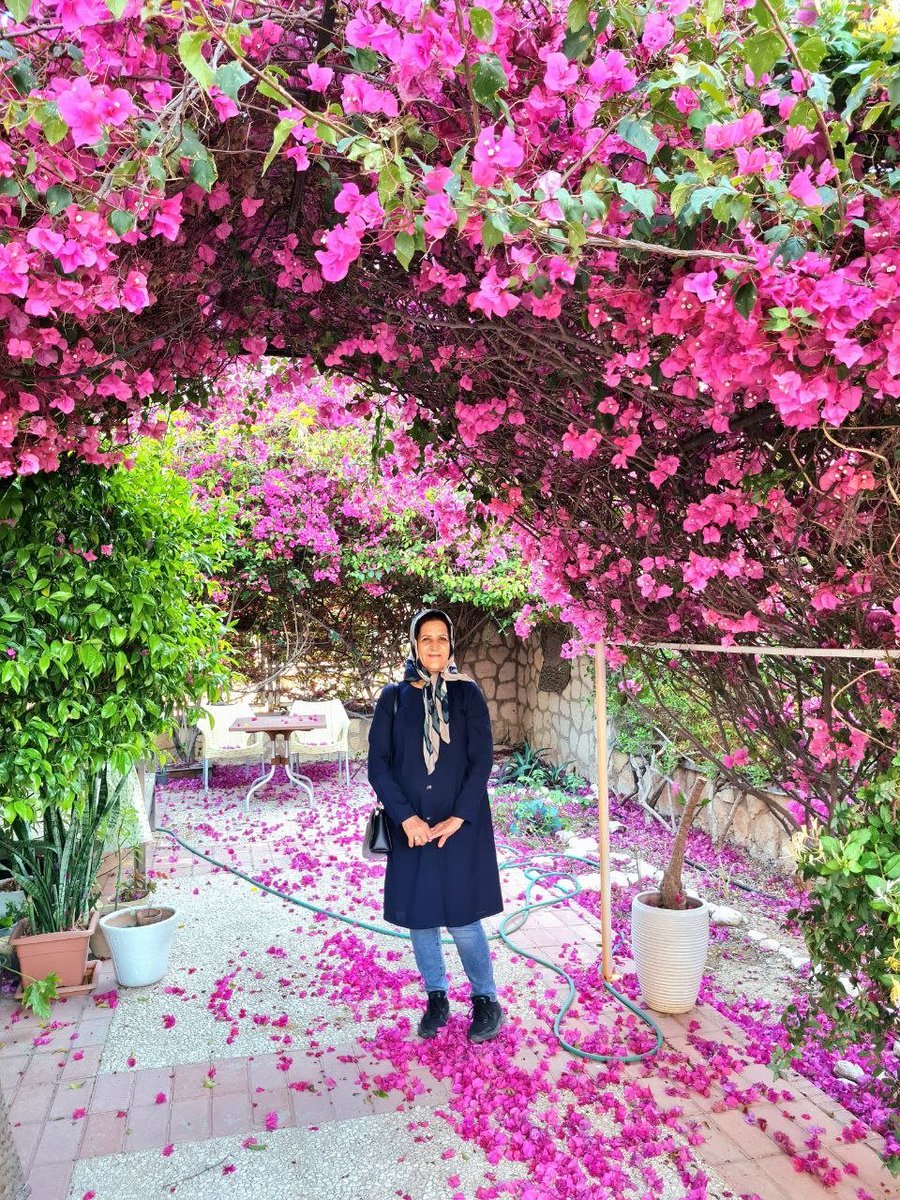 JamilehShafiei's tweet photo. با ندا عکساتو می‌بینیم. مثل فرشته‌هایی... هی زیر چشمی نگاه می‌کنم به بابا... اولین‌باره بدون تو میاد خونه‌مون. تو خودشه. خیلی دلتنگتیم. خیلی جات خالیه... شدی دریغ و درد! کشتنت مامان!
#جمیله_شفیعی https://t.co/VBeenyTPeF