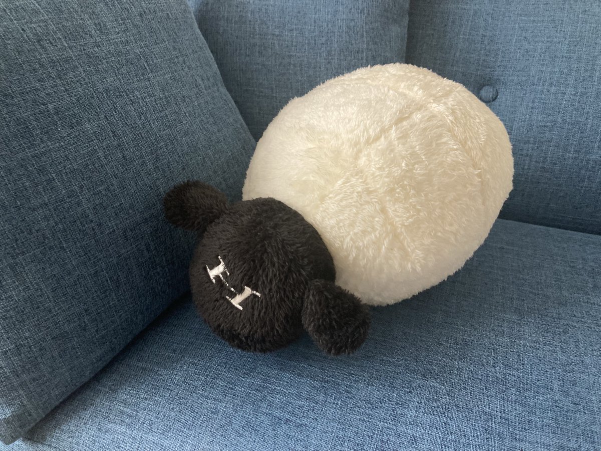 boys_emo_23's tweet photo. この子汗臭くなってきたからお風呂入れさせたほうがいい？中性洗剤？洗濯洗剤？牛乳石鹸？ https://t.co/lt38mJ4FbU