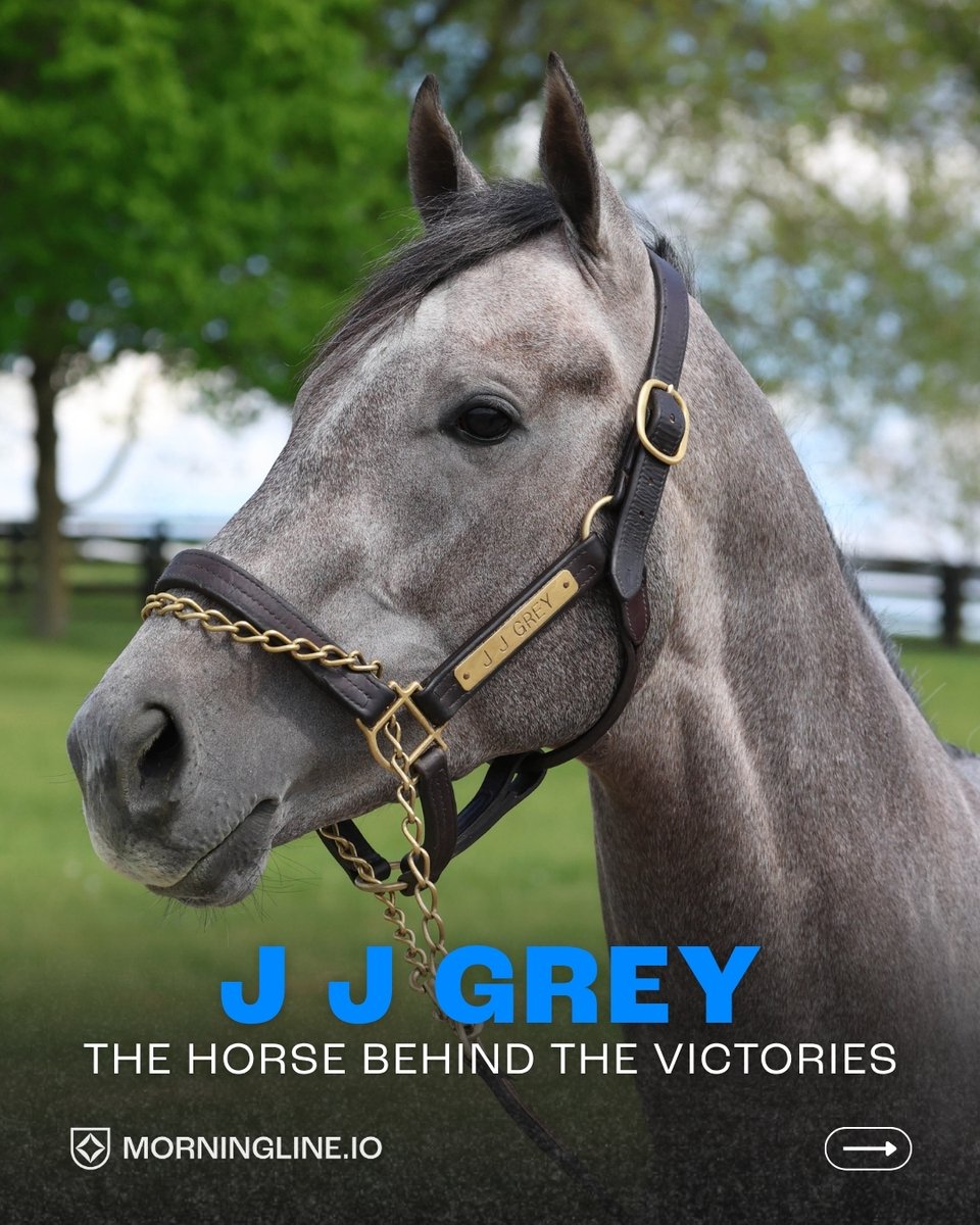 morninglineio's tweet photo. Can J J Grey make it 4 wins in a row? He makes his next start Sunday in the G3 West Virginia Derby. https://t.co/REPcCCUMKm