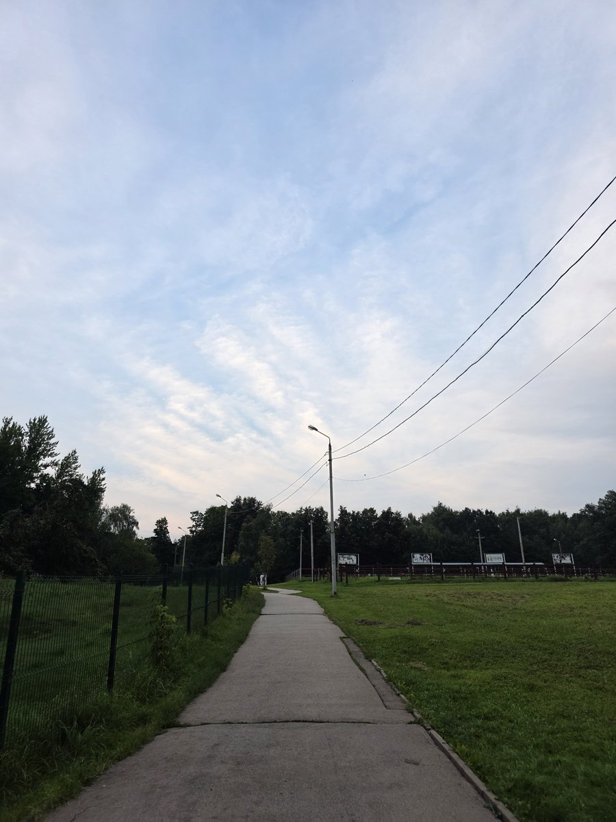 Mistress_Trill's tweet photo. Прогулялась после работы по парку с подругой, поболтали о всяком, так ещё и плюшками из Калининграда с контрабандным шоколадом одарили.
Красота 😌

(На обратной дороге попала под сильную грозу, но это уже совсем другая история) https://t.co/ingNnQXboa