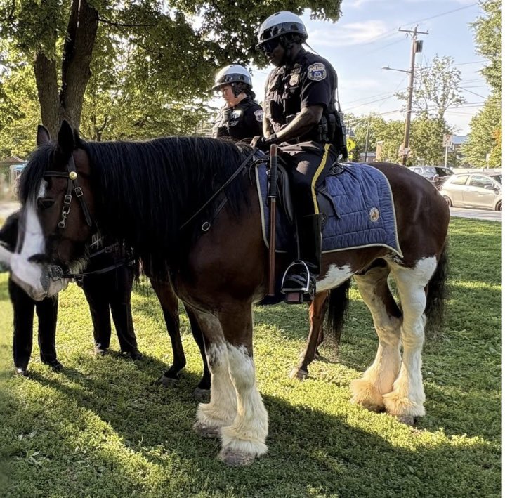 RoxboroughMemo1's tweet photo. The Roxborough School of Nursing and Roxborough Memorial Hospital joined National Night Out, promoting community partnerships. Thanks to attendees and the 5th District Police Department for their support. More info: [Roxborough School of Nursing](https://t.co/hQtZ0Thj08). https://t.co/P3Kg6jljD8