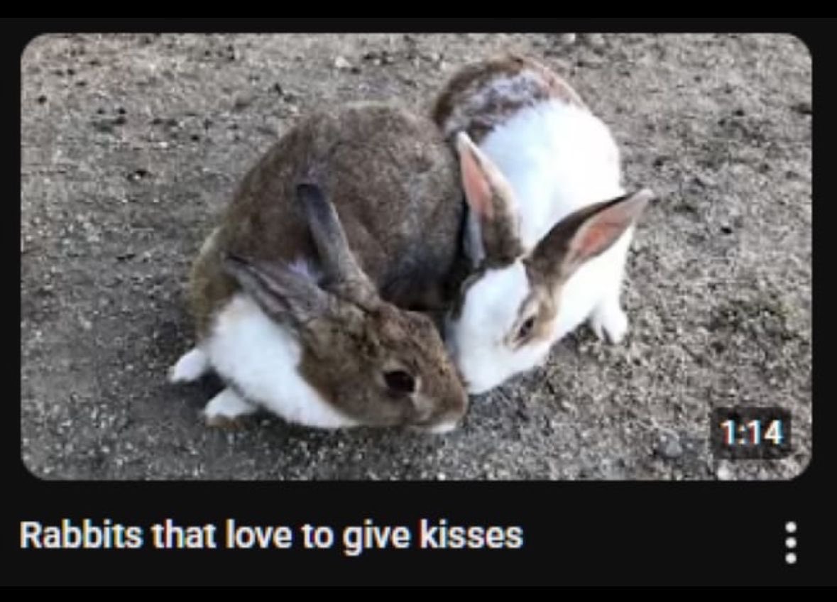 Bunnies's tweet photo. https://t.co/PkoWcxylzp