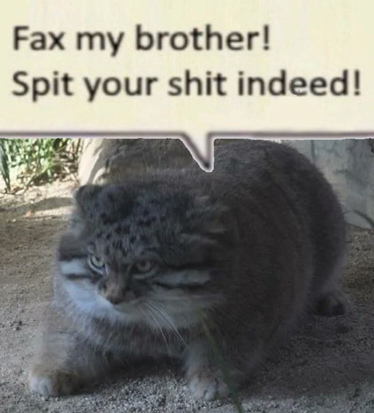ecol_sage's tweet photo. @kostos_art MANUL POST LETS FUCKING GOOOOOOOOOO https://t.co/X5zKChBswT