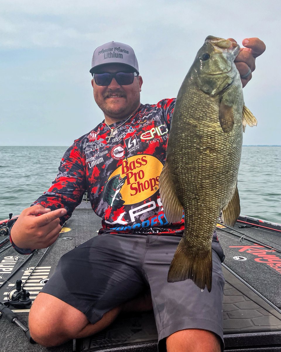 MajorLeagueFish's tweet photo. Just look at these Lake Erie beauties. 😍

#fishing #bassfishing #smallmouth #photography #greatlakes https://t.co/P4cpKMhC1z