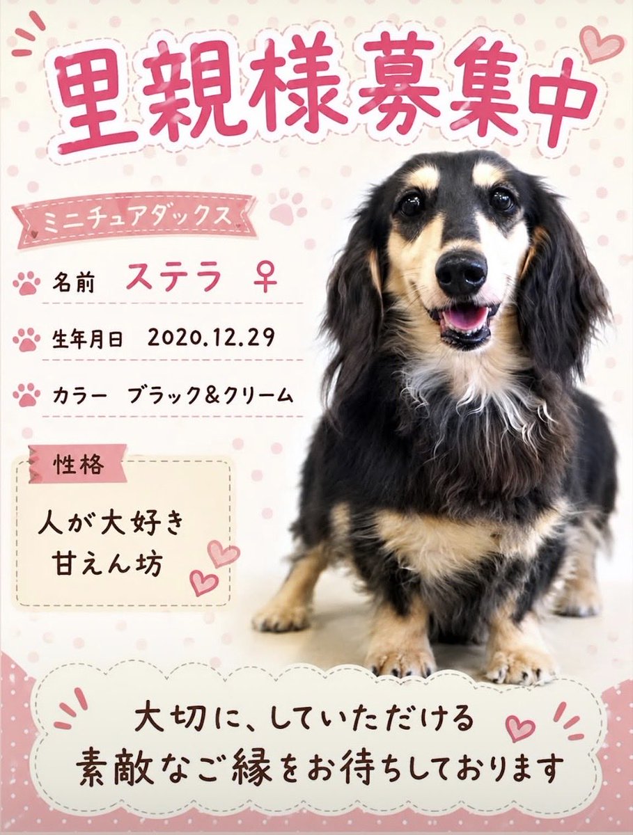 BERUZEDACHS's tweet photo. 引退犬の里親様募集中です🐶

興味がある方はご連絡ください。🙇🏻
良いご縁がありますように。🤗

https://t.co/b2MIQ2Ue4J https://t.co/j6Ut7rFtml